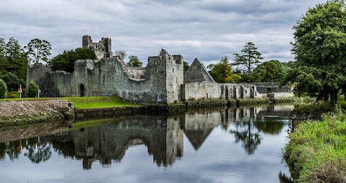 Desmond Castle